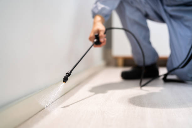 Licensed Pest Control service in Whitinsville, MA - Show Me Pest Control